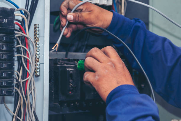 Best Electric Panel Repair  in Rochester, MN